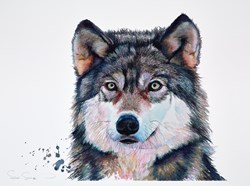 Golden Eyes by Sarah Stokes - Original Painting on Paper sized 30x22 inches. Available from Whitewall Galleries